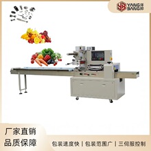 ȫ�Ԅ���ʽ���b�C ������ץ����Ϲ��  ��������