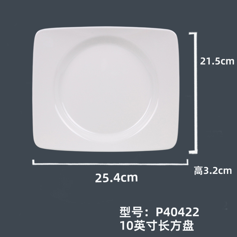 P40422#10英寸长方盘