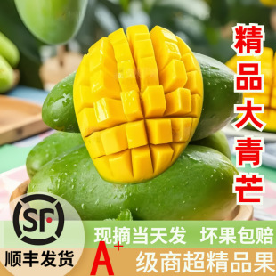 ��Sâ������â���r�����r��Fժˮ����Ƥ���ˮ����â����������