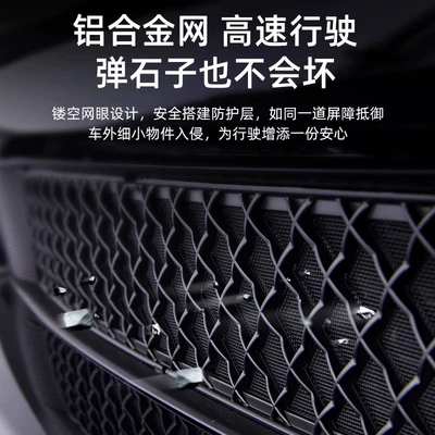 Automobile anti-insect net — for Tesla's New Version of
