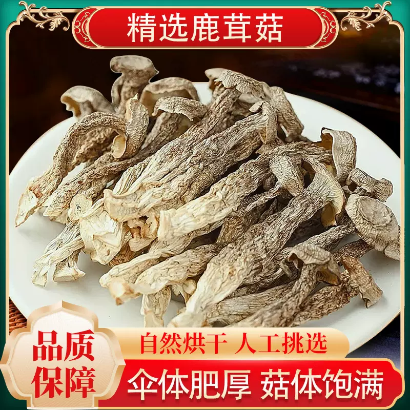 鹿茸菇500g干货鹿茸菌非菇干煲汤蘑菇云南菌子特产营养野生菌煲汤