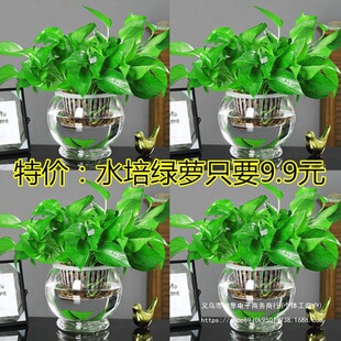 ˮG}ֲ҃ȩ՚͏dˮBGֲ  ˮG}