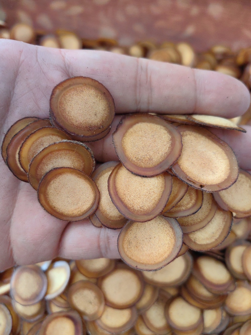 Deer Antler Slices Lu Rong Half Wax Slices Jilin Sika Deer Tonic Herb for Wine Infusion and Cooking 50g quality and texture