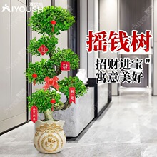 �u�X�������҃�ͥԺ���ͽ��X���辰�͟�Gֲ���·����w�ͶY��ؔ