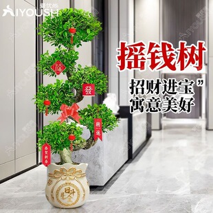 �u�X�������҃�ͥԺ���ͽ��X���辰�͟�Gֲ���·����w�ͶY��ؔ