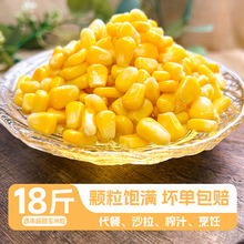 �ك��������������r��ˮ������ɳ�����_������������l�pʳ