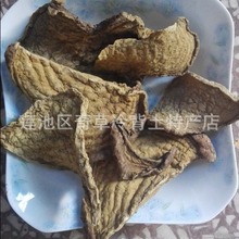 �_偵�,ѩđ,����ɏ,���l��ș���_偵ף��Ҳ�����ș���Ԓ��ԃ