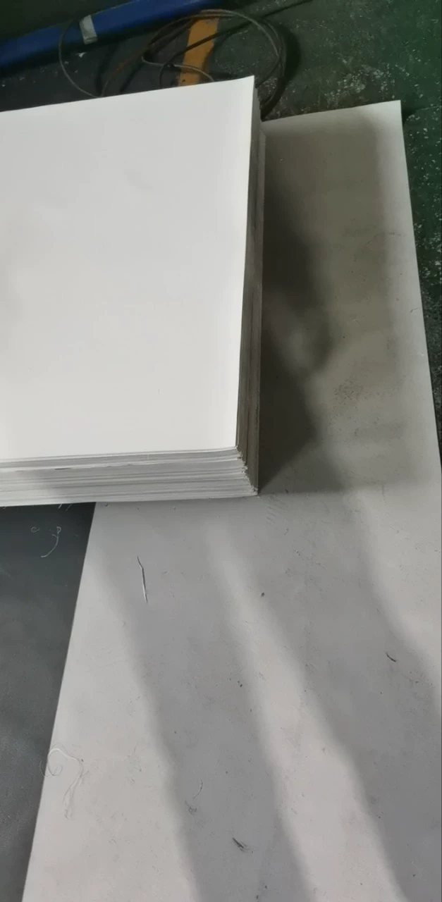 Projection Screen