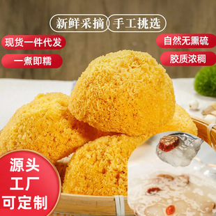 һ�����l�y����ľ�����lѩ������y����؛�S��� ɢ�bŴ�����l