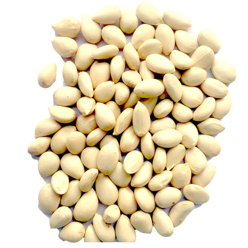 柑橘种子枳壳种子枸橘种子橘嫁接柑橘树种子种籽四季篱笆围墙_5