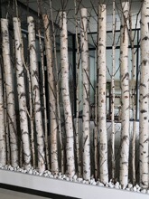 �ט��ט��U�ט�������bט�ľ�̈���������������