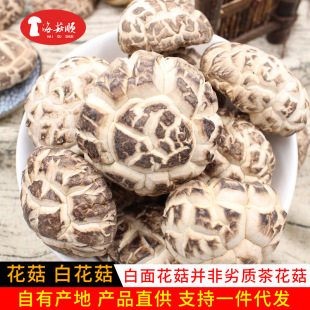 �׻�������Ģ��500g��؛���l�׻����㹽�خa���l��׻�����������