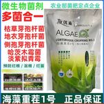 海优素海藻重茬1号 哈茨木霉菌 枯草芽孢杆菌 防根腐病微生物菌剂