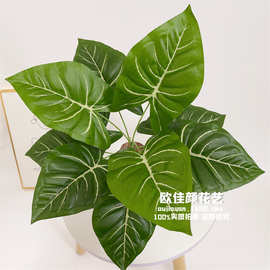 仿真绿植马蹄莲仙芋叶仿真花蕨叶仿真植物墙配材婚庆装饰