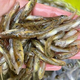 ΢ɽ��С�S�~ɽ���~��ˮ���r���w�ك��l؛ɳ���~Сʯ�~ɳ��С���~