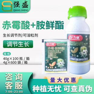 ����ɭ ������10%��ù�᰷�r����ײ˽��٘��{�����L�{����4g-40g