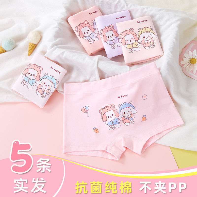 개 파트너 클래스 A 코튼 5 팩