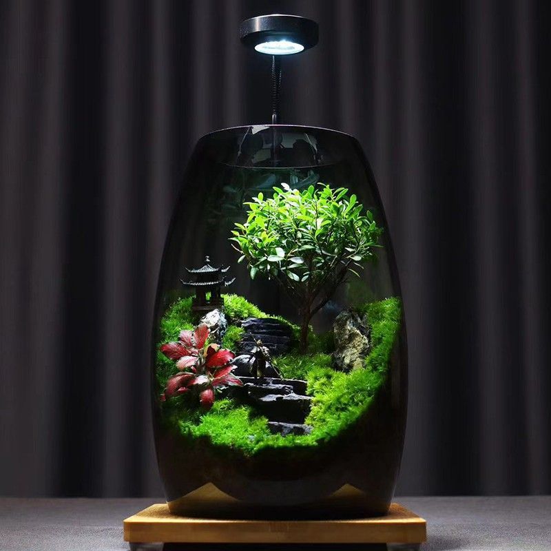 昇進デスクトップ苔マイクロ風景生態ボトル黒神話悟空鉢植えクリエイティブ装飾品オフィス植物|undefined