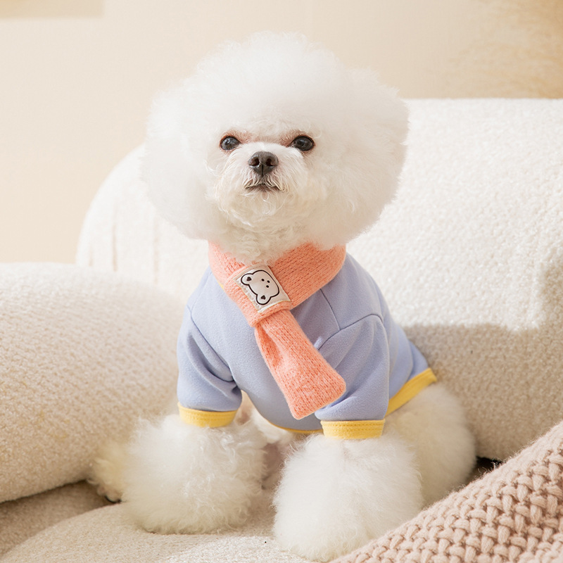Otoño y invierno nuevo estilo de mascota macarón etiqueta camiseta de oso con ropa de perro y gato fuera