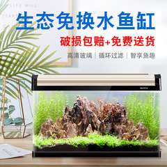 博宇生態水槽水槽水槽中小型ガラス金魚鉢長方形客間家庭用小型水槽卸売り