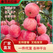 һ�����l�O�����簫���޽��O�ͺ�����ͥԺ���Ե����ϱ����Nֲ�t��