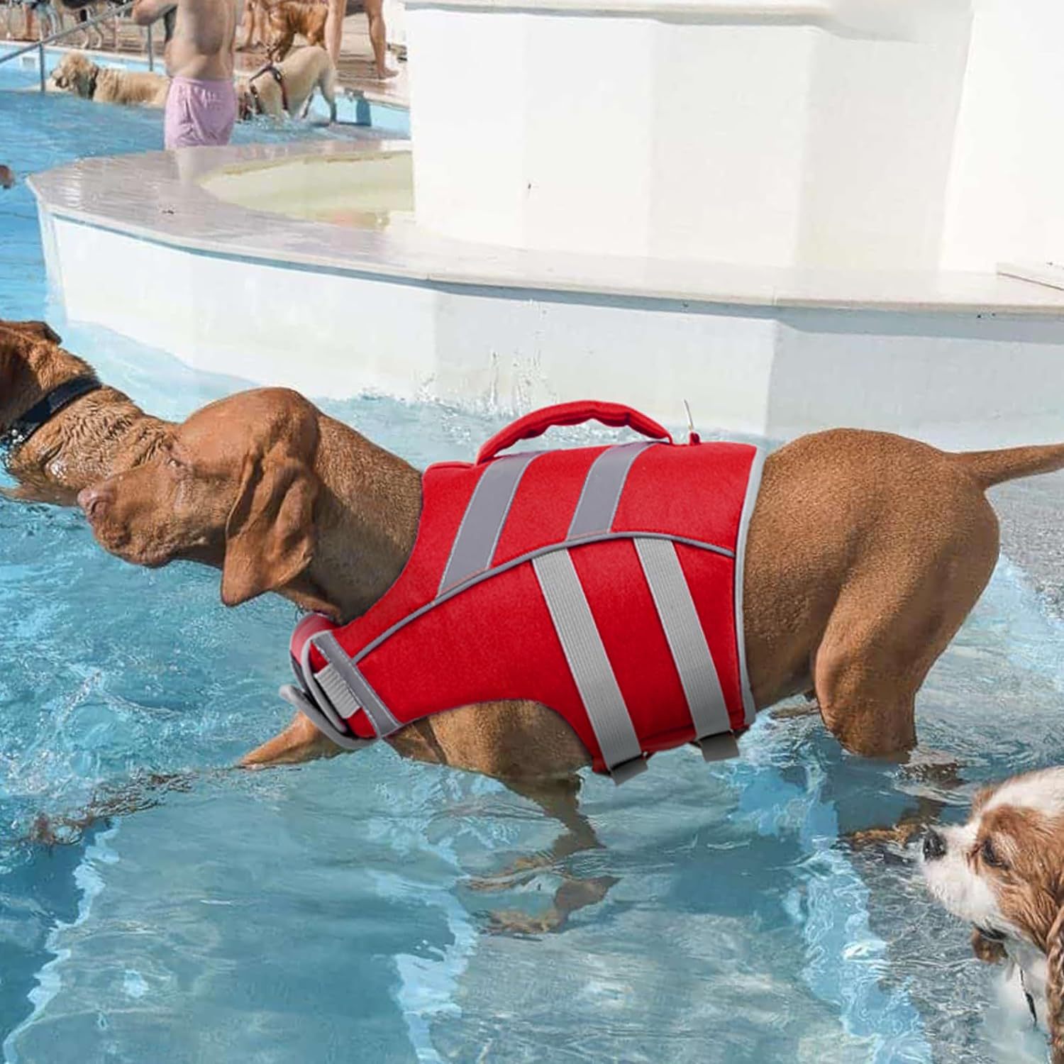 Dog Life Jacket