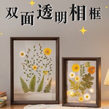 欧式创意压花相框摆台手工diy树叶植物标本6寸8透明木质画框摆件