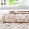 Obedient bear