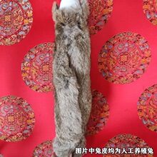 �����ü�����ӖȮ�٫C���_������Ӗ������ҧ�������������ݱ���