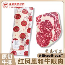 ���޼t�P�˺�ţ����203�Sԭ��ţ������ѩ��ţ��߶��������͏d