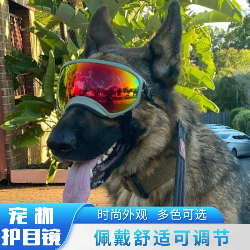 Трансграничные горячие продажи очков для собак Спортивные солнцезащитные очки для домашних животных на открытом воздухе Солнцезащитные очки для средних и больших собак