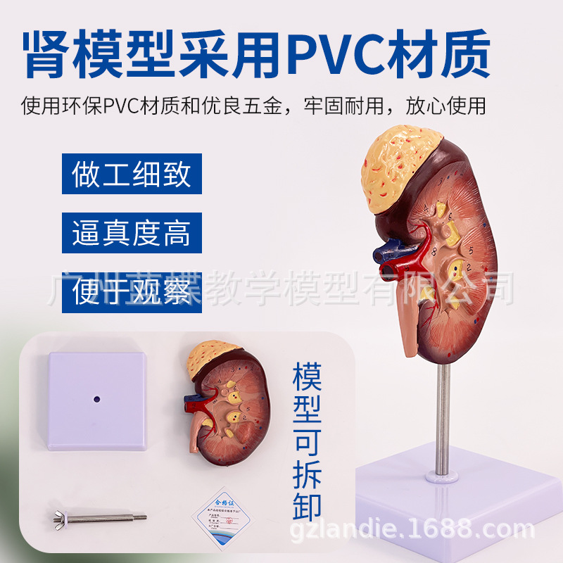 2���Ŵ�����Ŵ�ģ�� �Ŵ�� ������ģ�� 1���� �����������ģ��