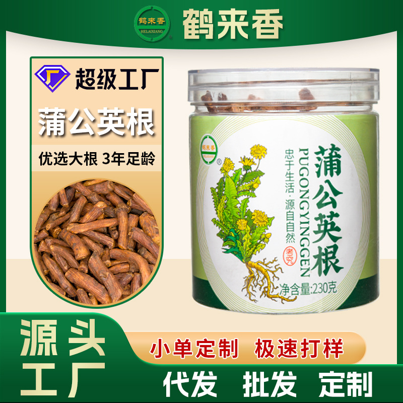 蒲公英根230克罐装中草药花茶泡水泡茶足龄大根婆婆丁根源头工厂