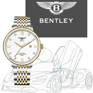 Bentley�e���ǳ�ϵ�� ����eҫҹ�����ʿ������w�X݆ȫ�Ԅ��OӋ
