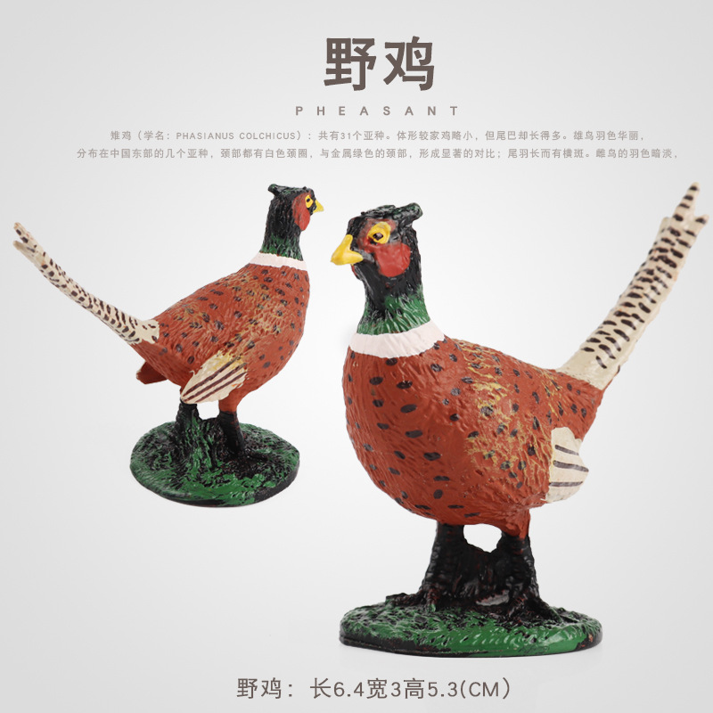 仿真野雞玩具雉雞動物模型家禽七彩錦雞擺件雞鴨鵝農場裝飾造景