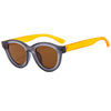Sunglasses for leisure, brand glasses, city style, simple and elegant design, internet celebrity