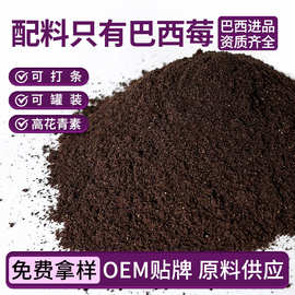 原料供应巴西进口阿萨伊果粉冻干巴西莓粉花青素膳食纤维果蔬粉