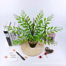 ����Gֲާ�ֲ��12�^�ٺ��~�Gֲ���� ާ����ϼٻ��b� ֲ�