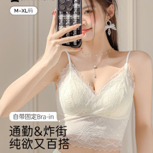 dy4��15502