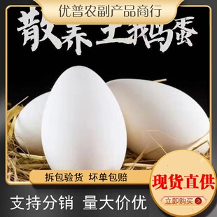�Z��0g10�ЋD��ɢ�B�Z�����r���r������80���r��ö6������ȥ̎