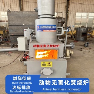Animal Carcass Incinerator Pet Funeral Furnace Factory Wholesale Direct Sales of Household Waste Medical Waste Incinerator