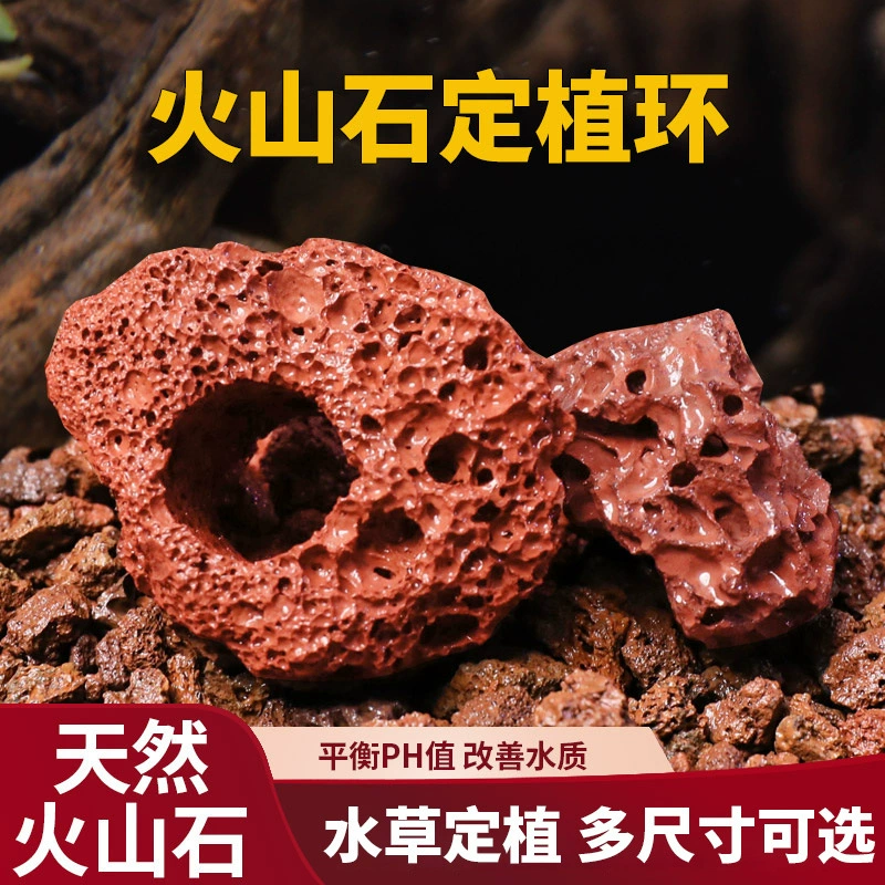 Cross-Border Aquatic Plants Fixed Planting Red Punched Volcanic Stone Large Planting Ring Fish Tank Landscaping Decorative Base Cross-Border Aquatic Plants Fixed Planting Red Punched Volcanic Stone Large Planting Ring Fish Tank Landscaping Decorative Base