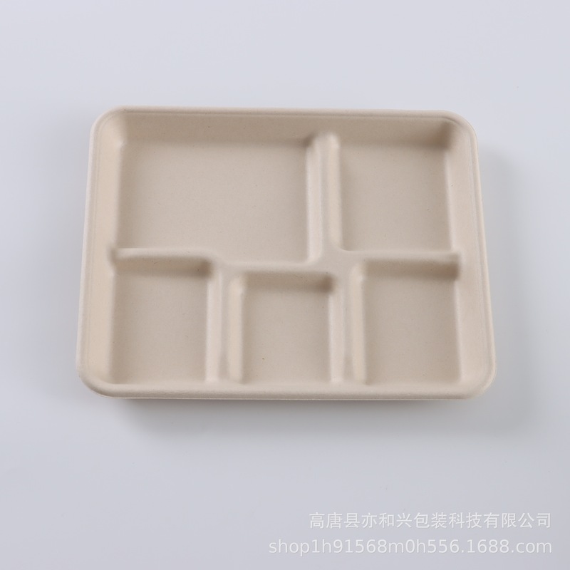 使い捨ての多格の食事皿食器のパルプの食事箱の浅い5格のトレーは皿を分けます。|undefined