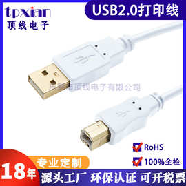 工厂定制白色USB2.0打印机线 USB A公对B公抗干扰打印机数据线