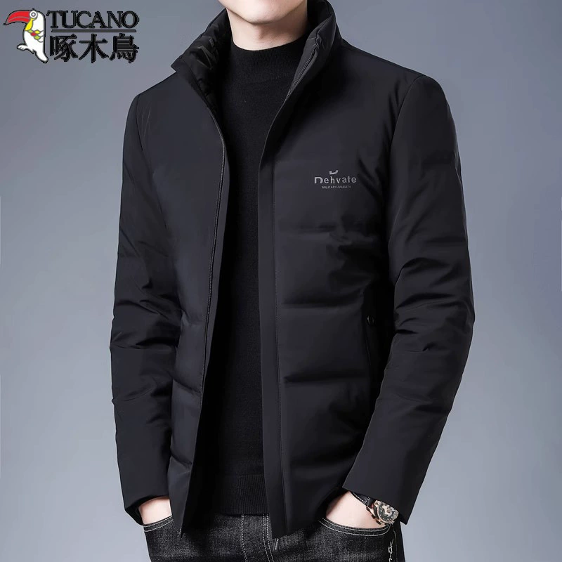 Men's short demi-season down jacket