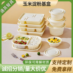 使い捨ての弁当箱のファーストフードの箱は蓋を持っています。