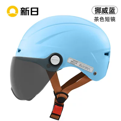 seasons, adult helmet, electric — Motosiklet kaskı (dəbilqə) - norwegian-blue-brown-short-glasses-one-size-fits-all