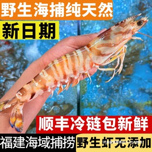�߹��r���r�Ź��r�����r���r�r���ك��ڻ��r�ش��r�ڻ��r���r