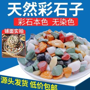Natural Multicolored Stone Rain Flower Stone Fish Tank Paving Bottom Potted Hydroponic Succulent Plant Paving Decorative Small Stones