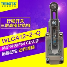 TMAZTZWLD123г_PWLCA12-2-Qλ_PˮWLNJ-30-S2